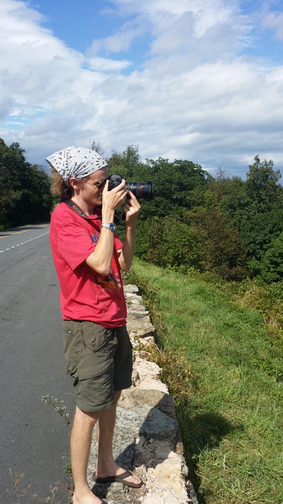 skyline drive overlook