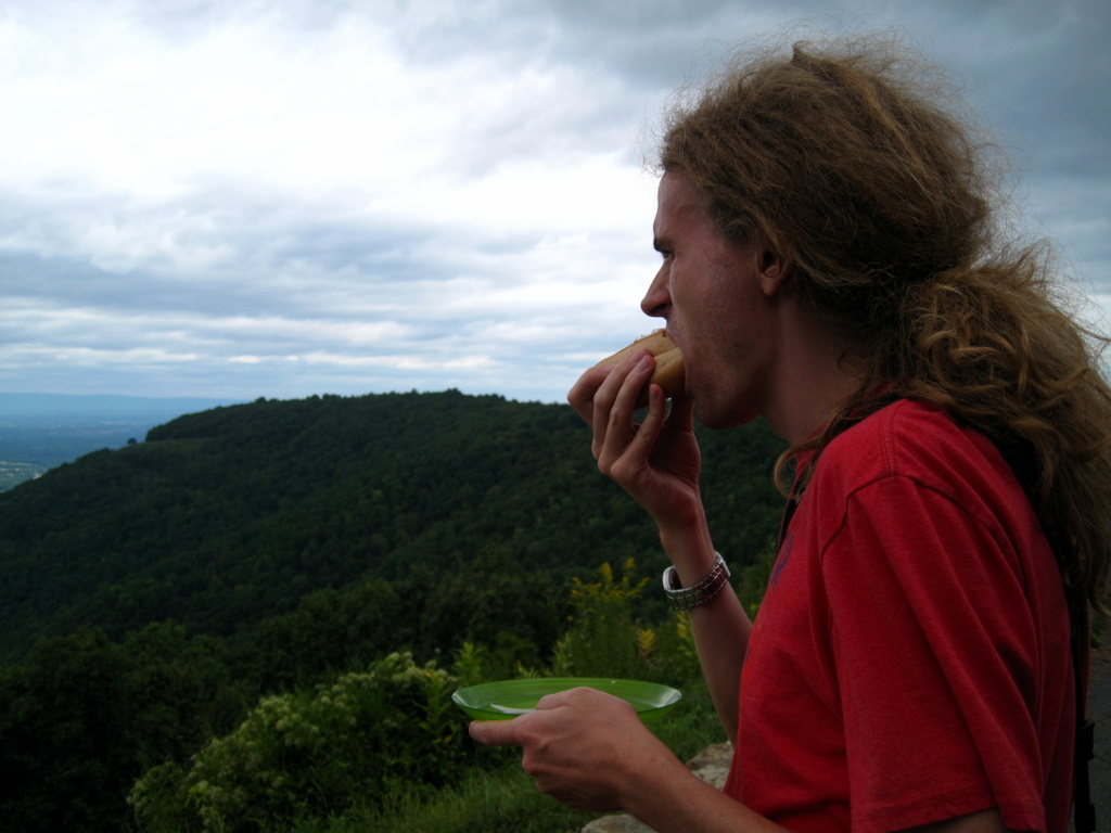 hot dog on skyline drive overlook