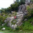rock climbing on skyline drive