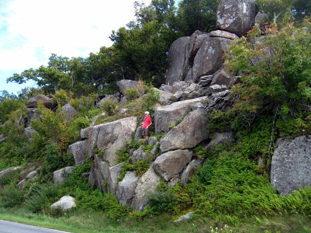rock climbing on skyline drive